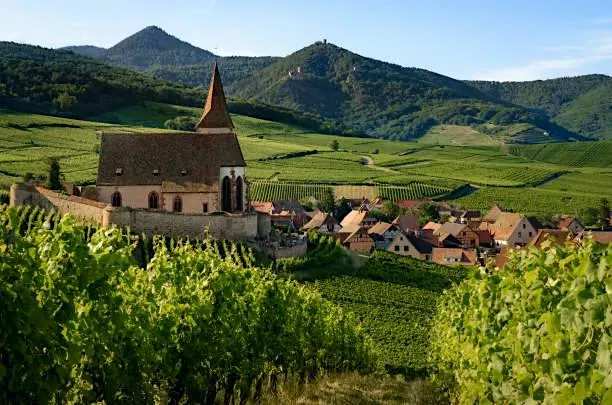 Exploring Alsace With Winemaker Sophie Schaal