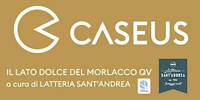 IL LATO DOLCE DEL MORLACCO QV