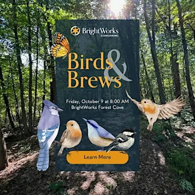 Birds & Brews