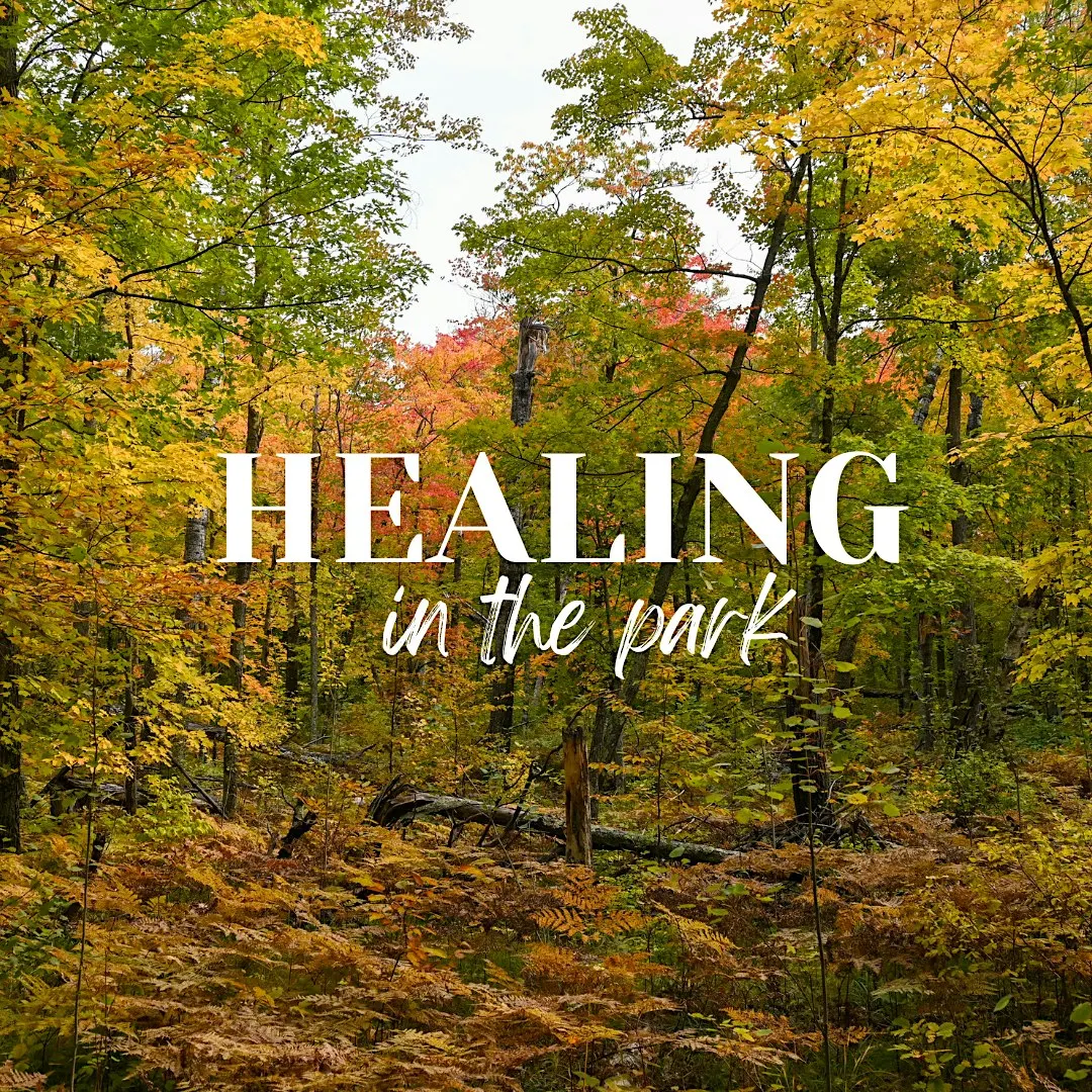 Healing in the Park: S3| Receiving Openly