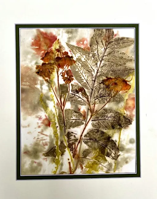 Eco-printing: Making Prints Using Leaves and Flowers - Session #2