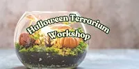 Halloween Terrarium Workshop