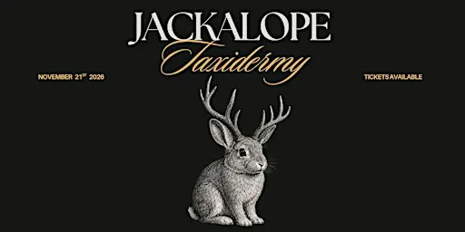 Taxidermy Jackalope Workshop