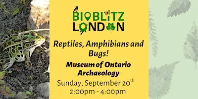 Reptiles, Amphibians and Bugs - Guided Family Walk in Medway Valley