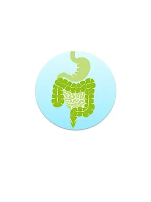 Gut Health/Brain Health