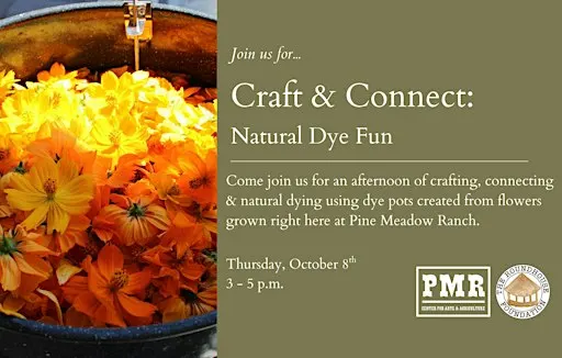 Craft & Connect: Natural Dye Fun | 10.8.26