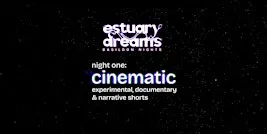 Estuary Dreams: Basildon Nights - Cinematic
