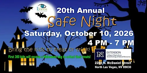 20th Annual LVBNM Safe Night