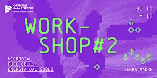 WORKSHOP #2 - Microbial fuel cells: energia dal suolo