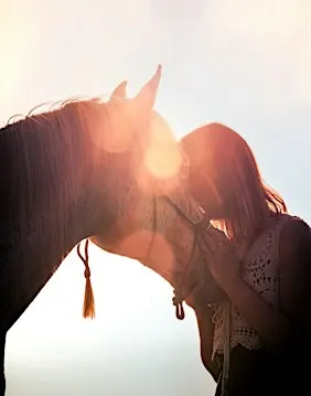 Mindful Horse Walk – Nervous System Regulation & Connection