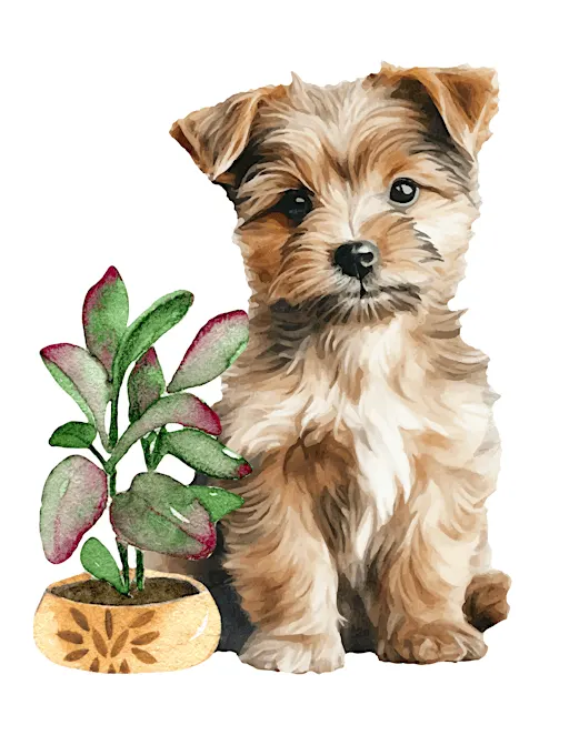 Pups and Plant Bingo hosted by Roaming Rootz LLC