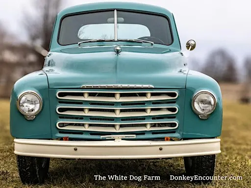 Rent our 1953 Studebaker Pickup for your Photo Shoot!
