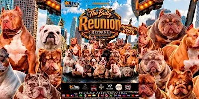 THE BULLY REUNION RETURNS — CALI VIBES!