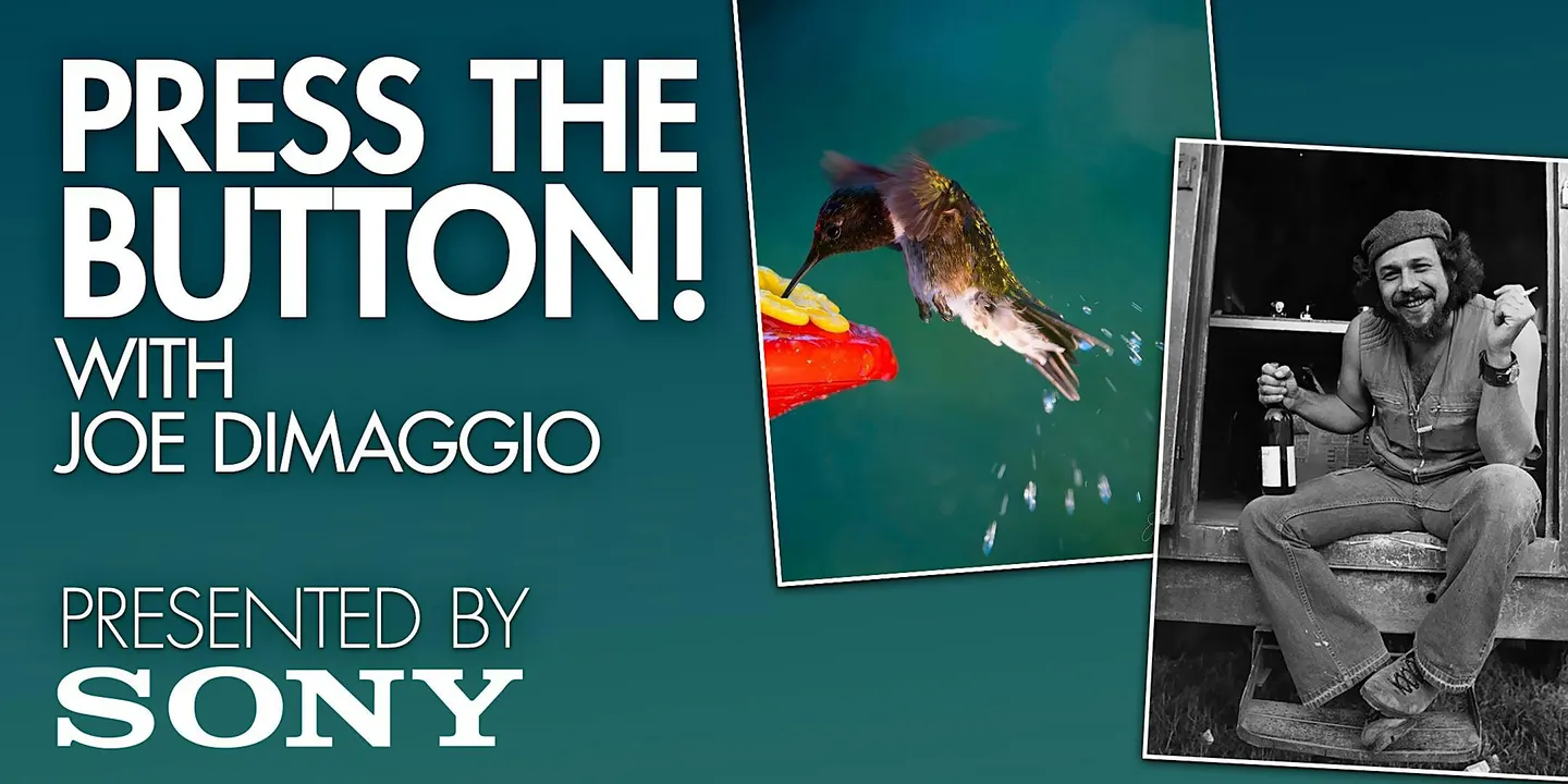 Press The Button! with pro photographer Joe DiMaggio