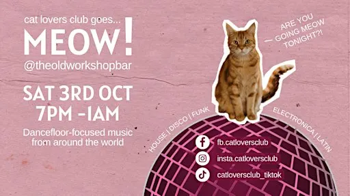 Cat Lovers Club goes... MEOW! At the Old Workshop