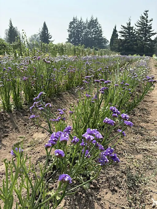 On the Road Tour - Putting the Garden to Bed; Getting Ready for Spring