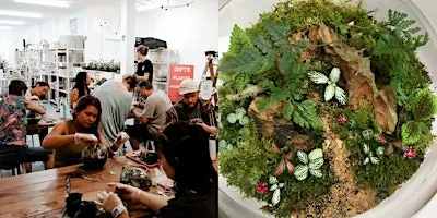 Beginner Terrarium Building Workshop