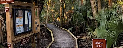 Pawpaw Chapter FNPS Field Trip to Hontoon Island