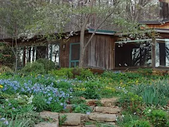 EcoSavvy Lecture with Renowned Plantsman Cole Burrell