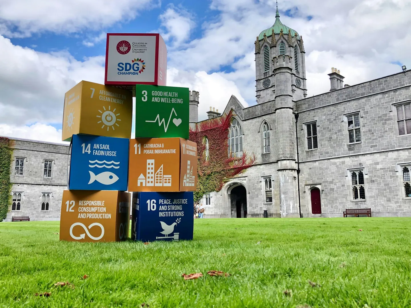 Who Needs Anemones?–Film Screening for University of Galway SDG Week 2026