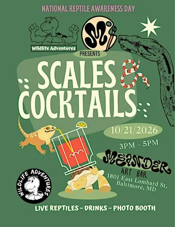 Scales & Cocktails at Meander Art Bar