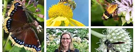 Native Havens: Building Pollinator Habitats