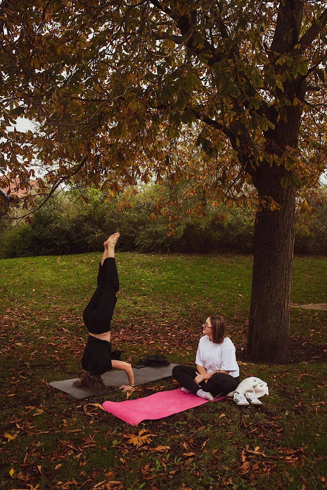 Pilates in the Patch