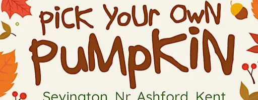 Pick Your Own Pumpkin, Nr Ashford, Kent