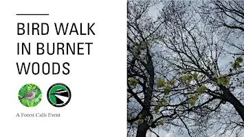 Bird Walk in Burnet Woods