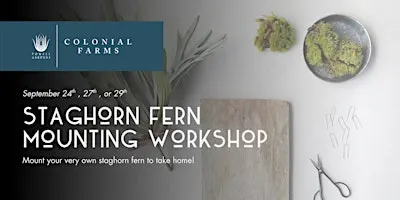 Staghorn Fern Mounting Workshop