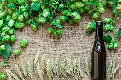 Community Table: Fresh-Hopped Wild Rice Ale, Pt.1