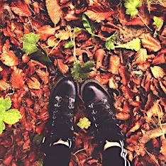 Autumn Stroll