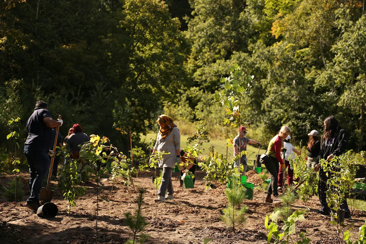 Ecological Restoration Planting with Nikibii Dawadinna Giigwag