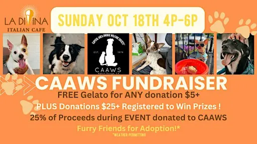Gelato Love for Dogs: CAAWS Fundraiser Sunday, October 18th 4p-6p
