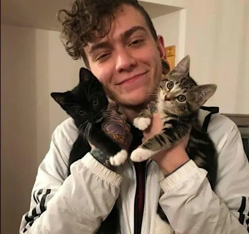 Pet Cats and Listen to METAL