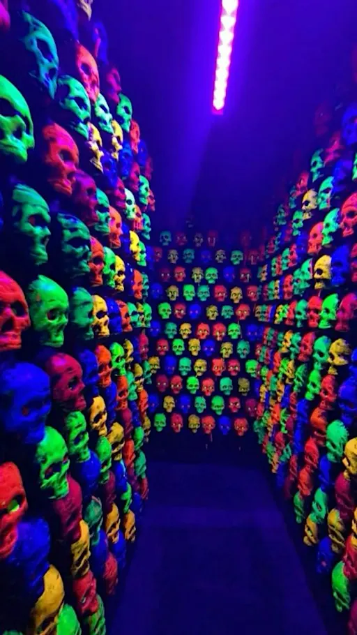 VEGA Neon Nightmares Presents | Disco Never Dies