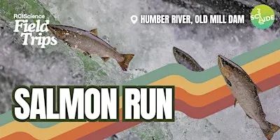 Field Trips: Salmon Run
