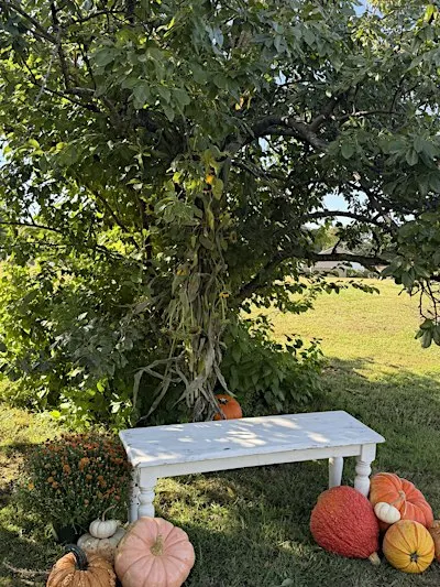 Fall Photoshoot