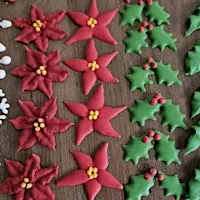 Mini Masterclass- Making Royal Icing Transfer decorations!