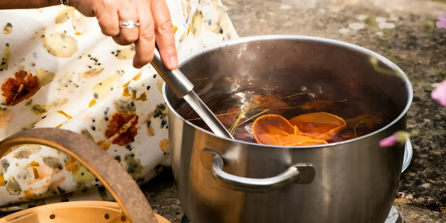 Introduction to Natural Dyeing