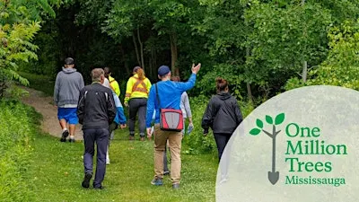 Fall Guided Walk at Jack Darling Memorial Park