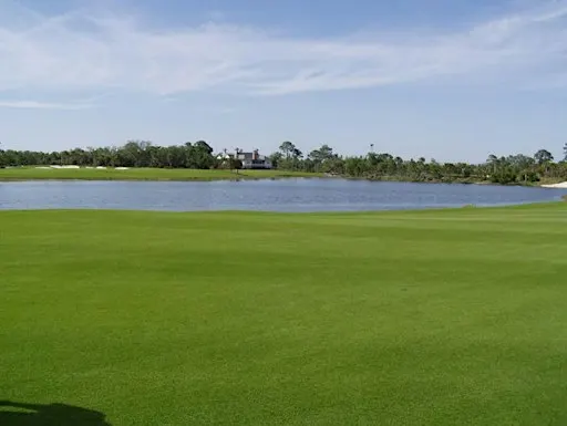 Turfgrass 101
