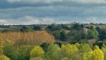 Winkworth Arboretum and the Greensand Way Autumn Colors Hike plus Halloweeny pub