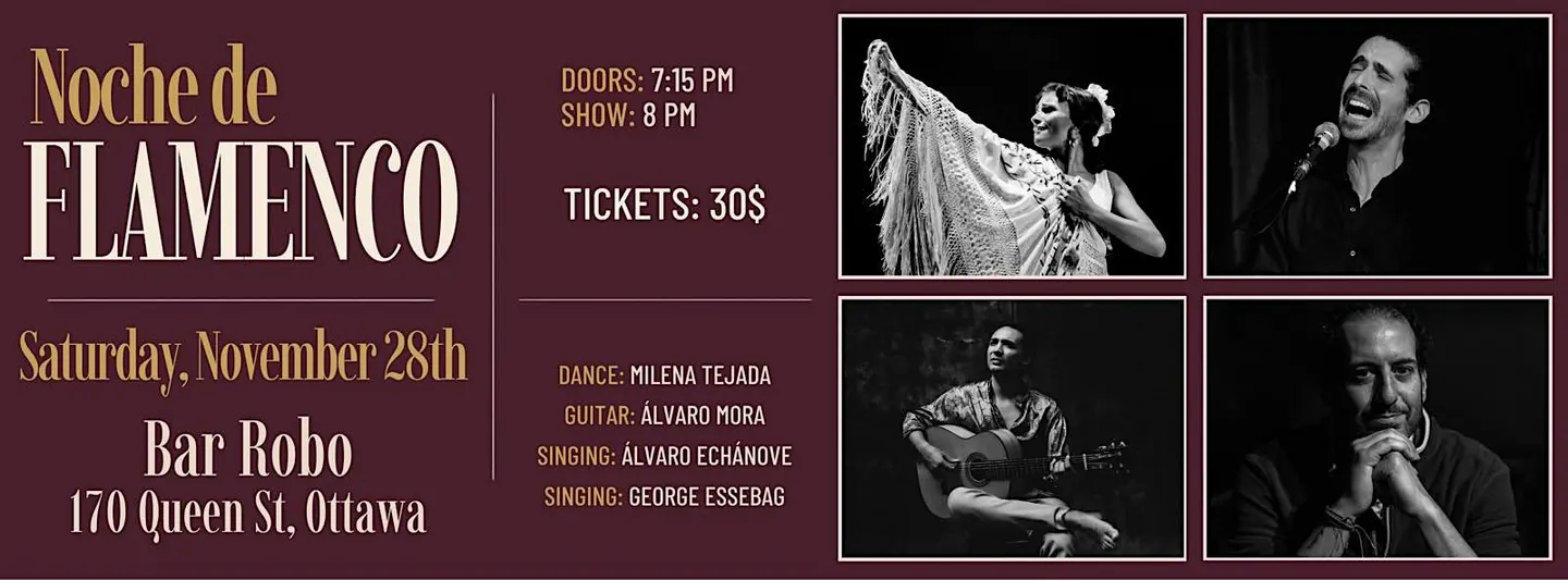 Noche de Flamenco