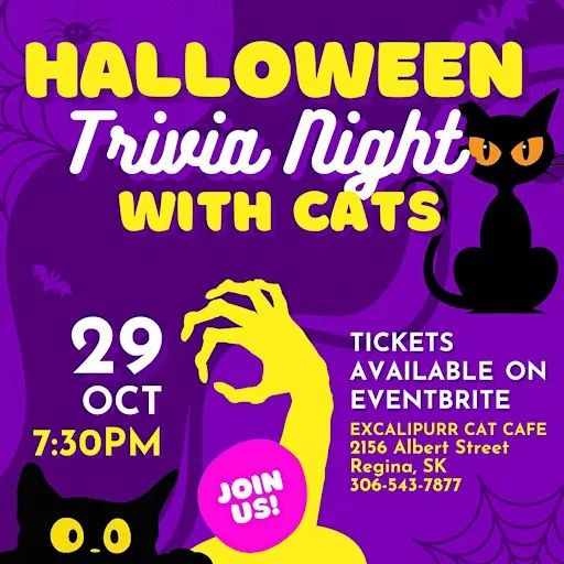 Halloween Trivia Night with the Cats
