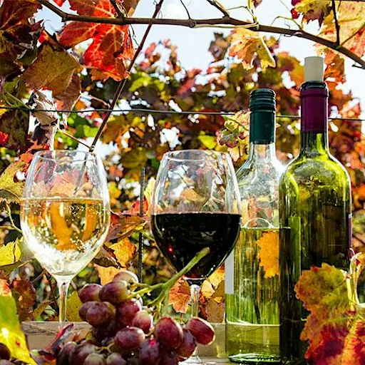 A Taste of Fall Stock Your Cellar Wine Tasting!