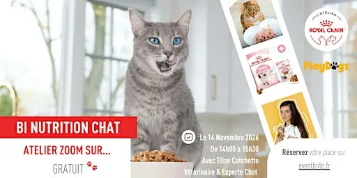 ZOOM SUR... BI-NUTRITION CHAT