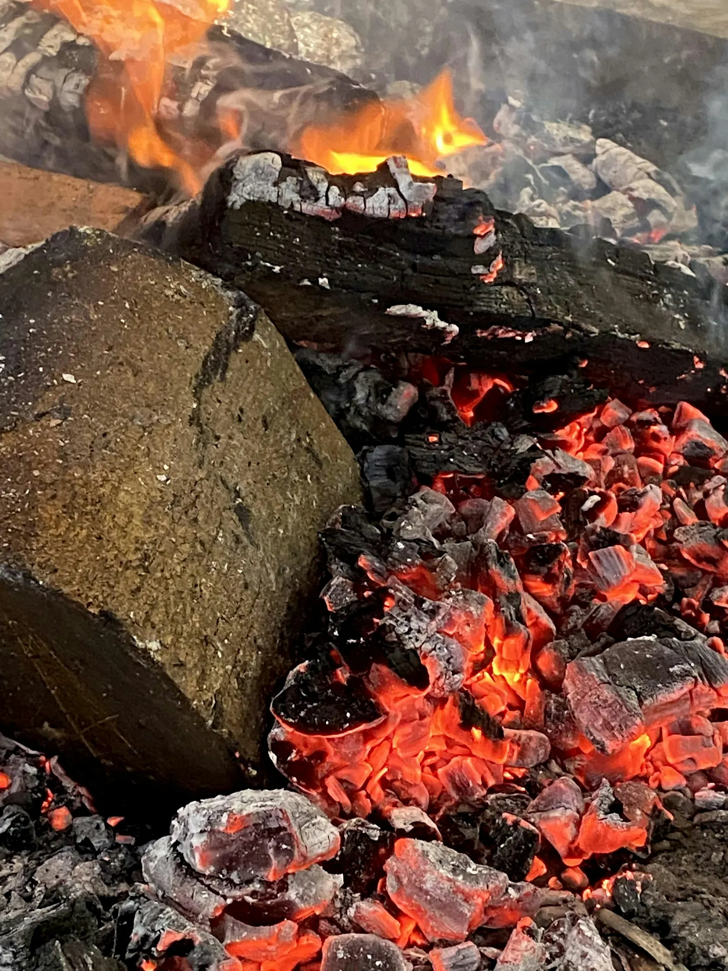 Frosty dens and campfire Smore's