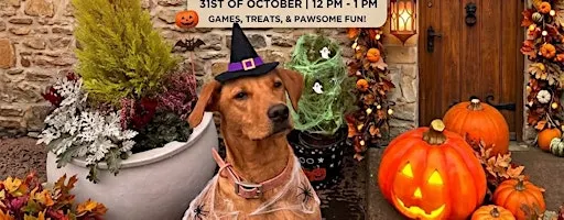 Halloween Paws & Play!