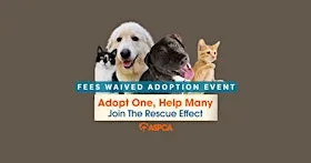 Fees Waived Pet Adoption Event!